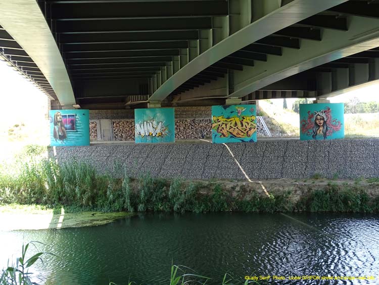 Graf-Piliers18 Lady SonP