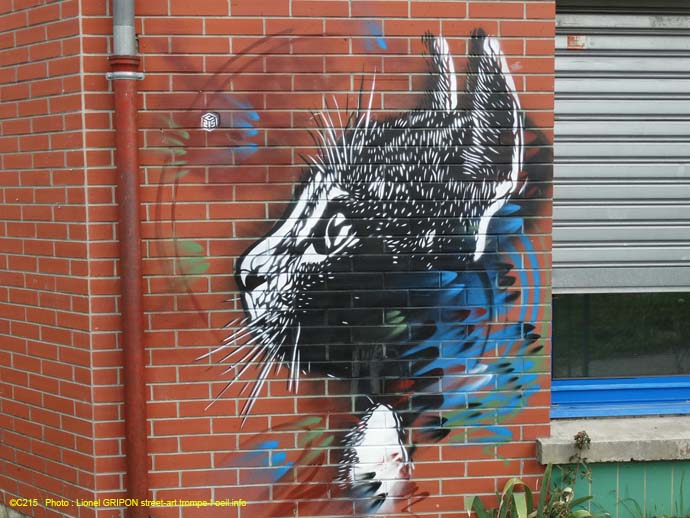 Le chat bleu-04