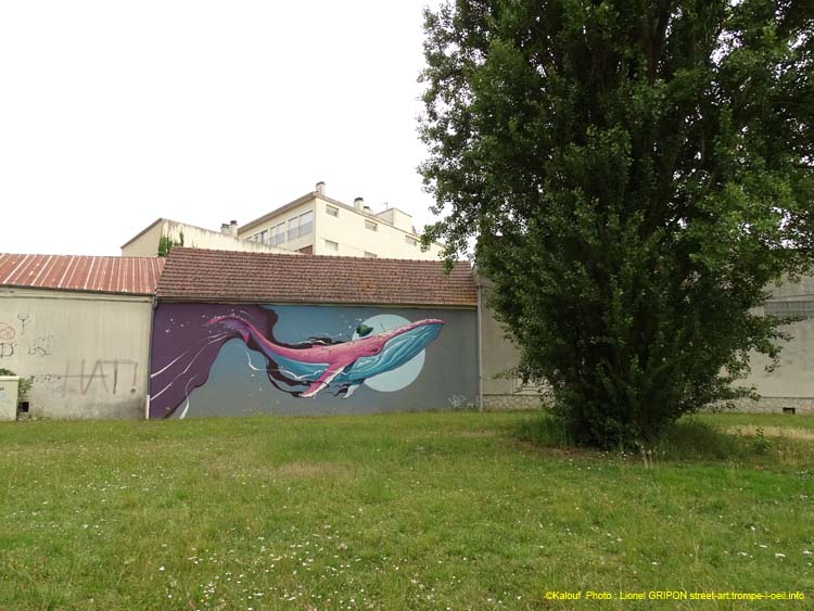 Baleine à bosses