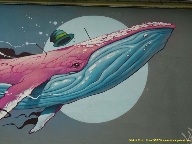 Baleine à bosses