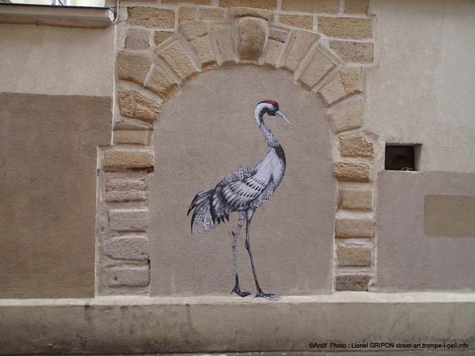 Grue cendrée