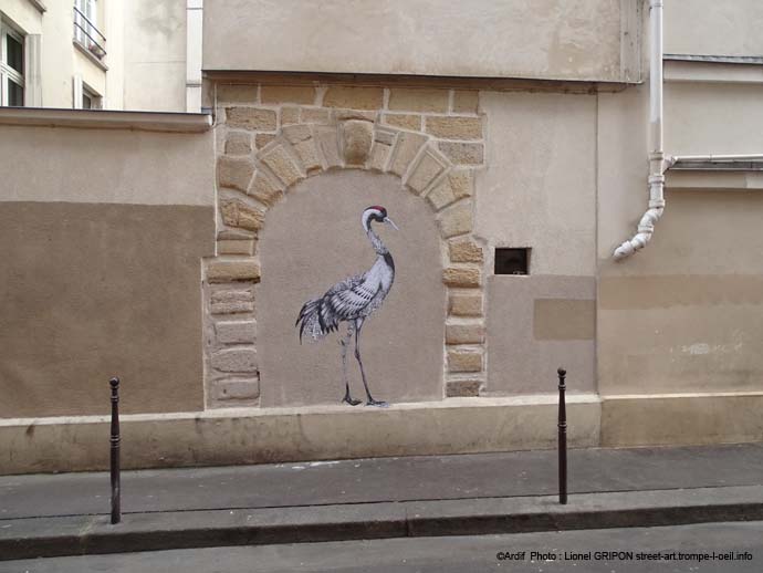 Grue cendrée