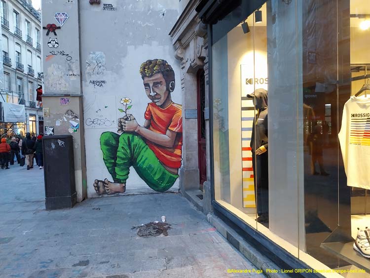 Homme à la marguerite