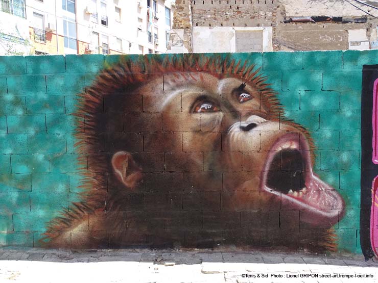 Protégeons les singes