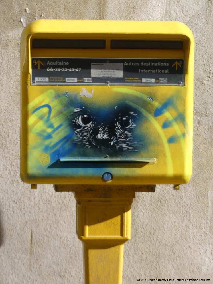 C215-Pdv 08