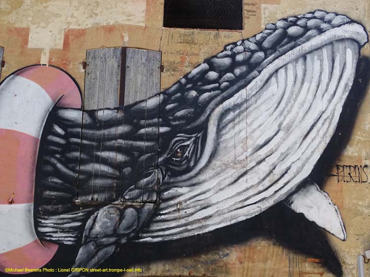 Protégeons les baleines