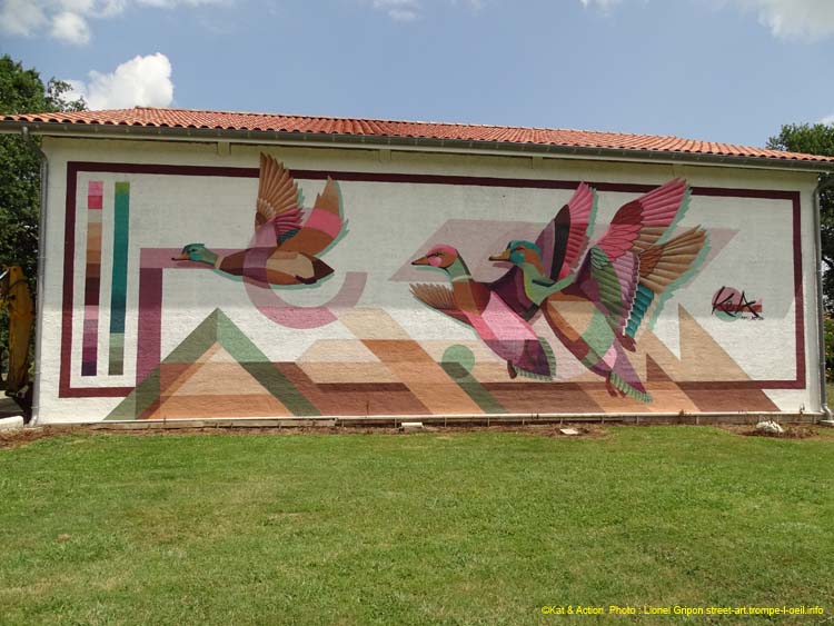 Oies sauvages