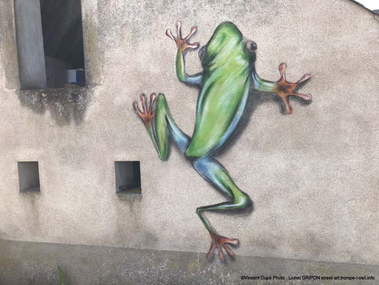 Grenouille et escargot