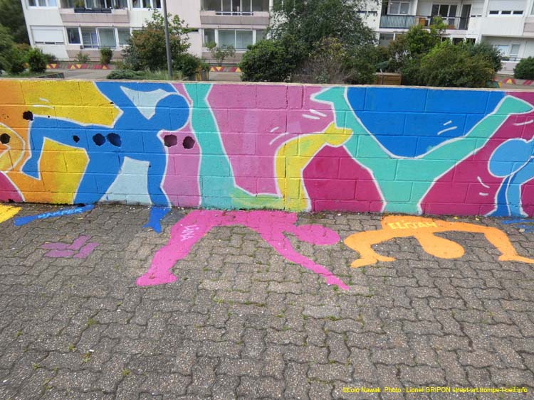 Métamorphose colorée