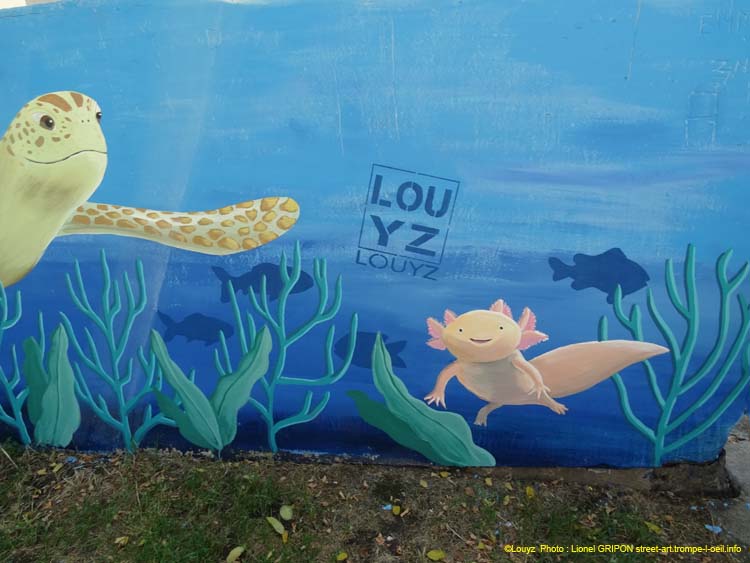 Requin et tortue