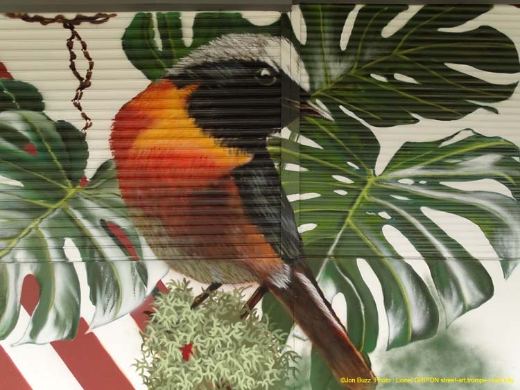 Panthère et oiseau