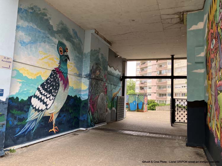 Les pigeons