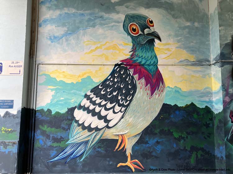 Les pigeons