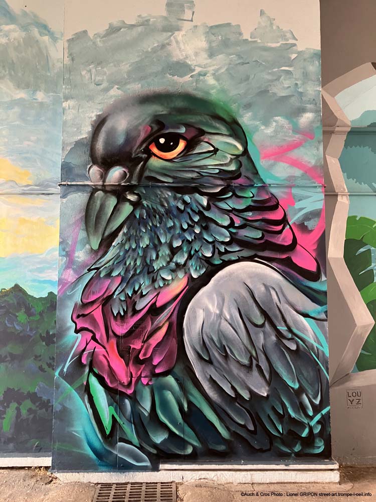 Les pigeons