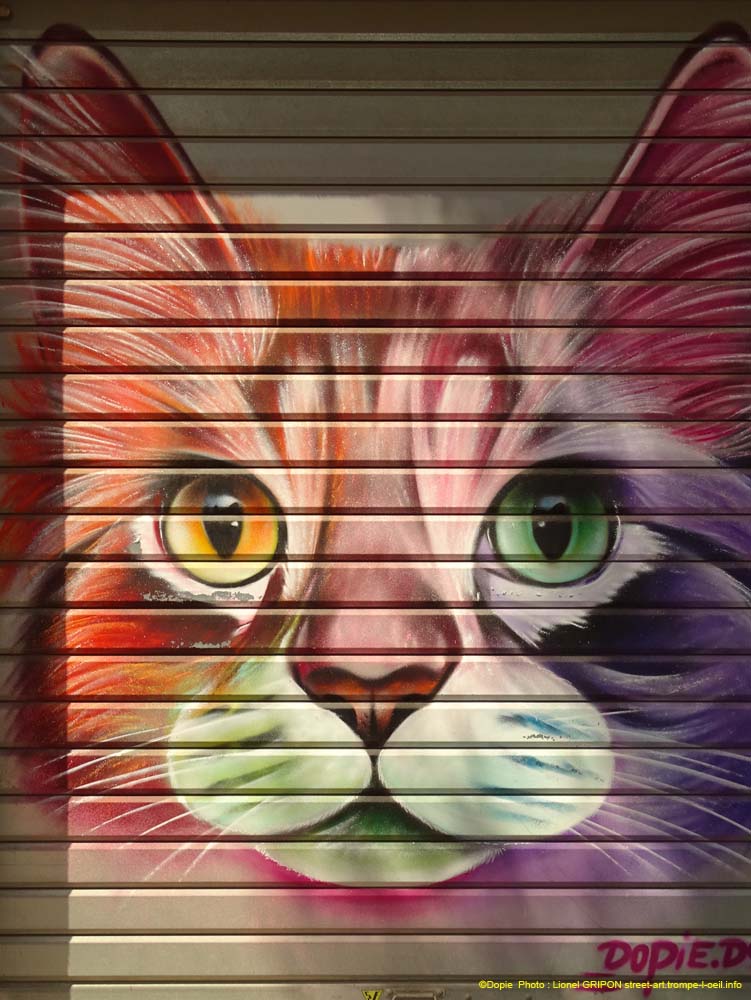Chat coloré
