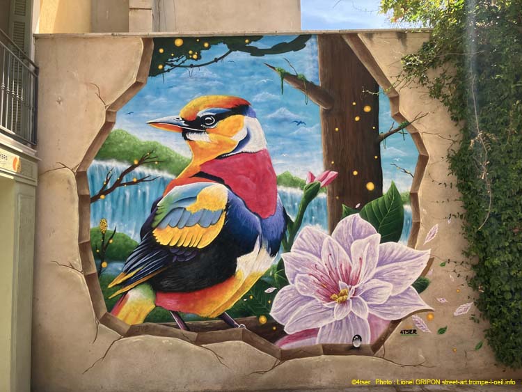 Oiseaux et papillons