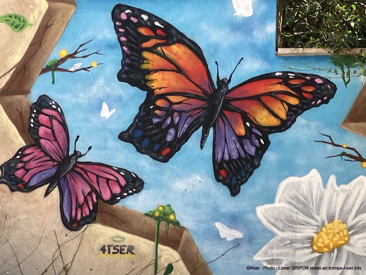 Oiseaux et papillons