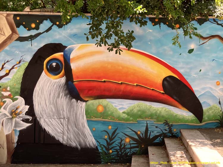 Oiseaux et papillons