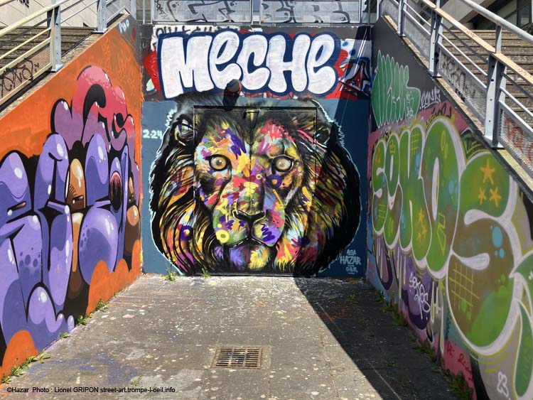 Lion coloré-2