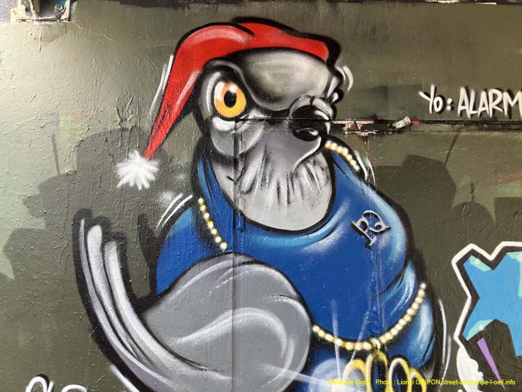 Roi pigeon