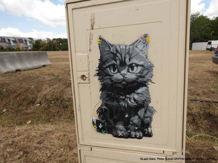 Chat qui parle