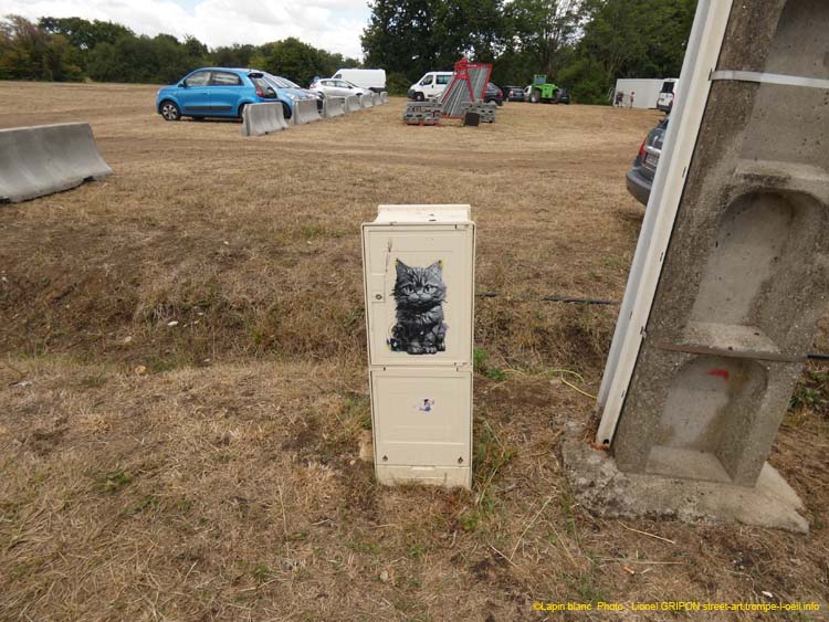 Chat qui parle