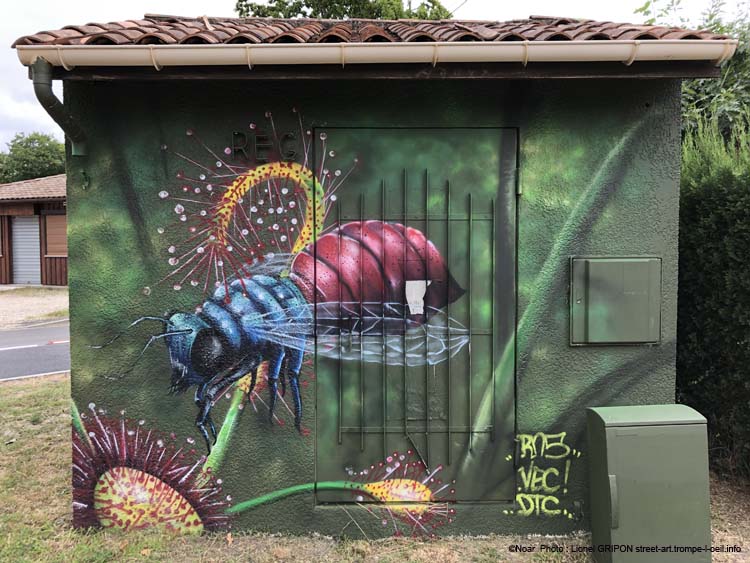Insectes et prédateurs