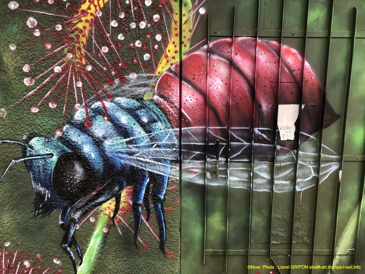 Insectes et prédateurs