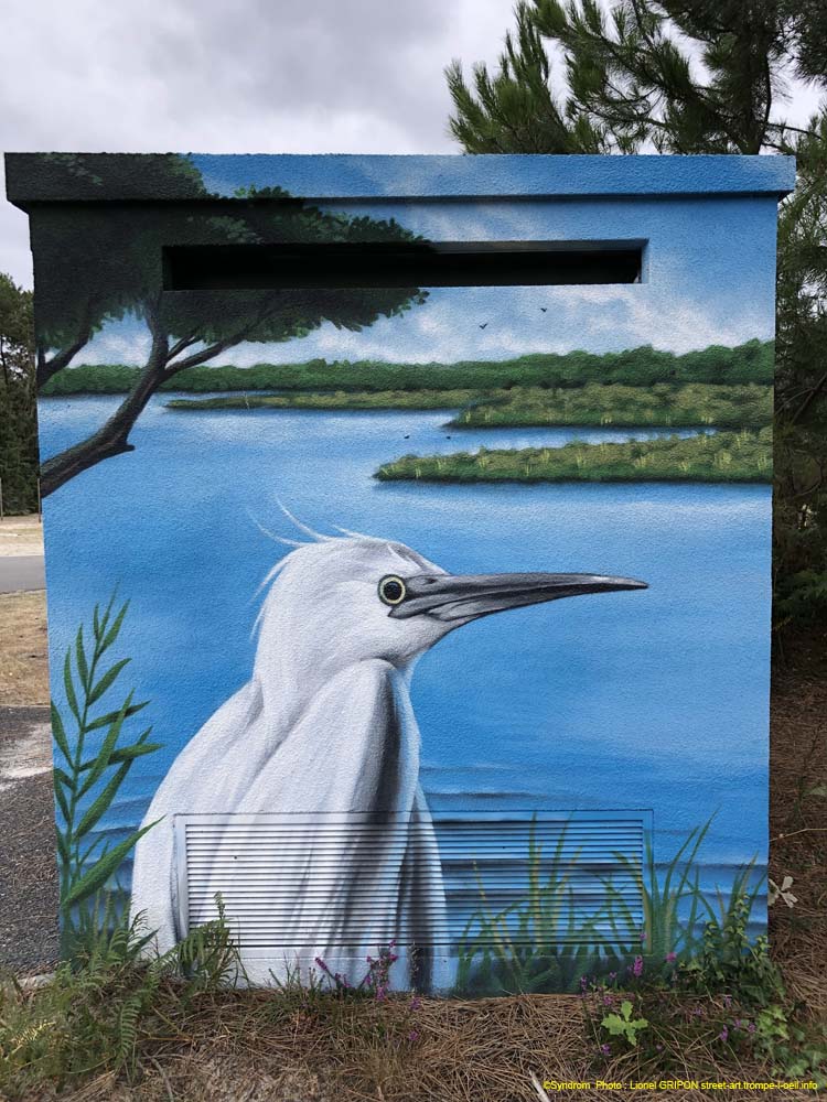 Héron et aigrette