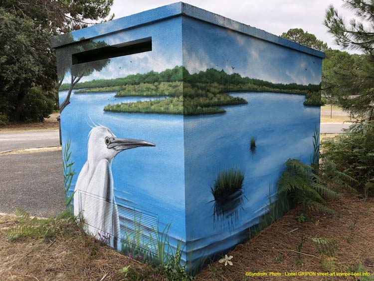 Héron et aigrette