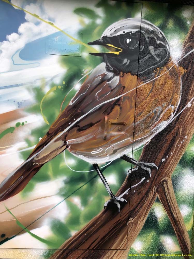 Oiseau et méduse