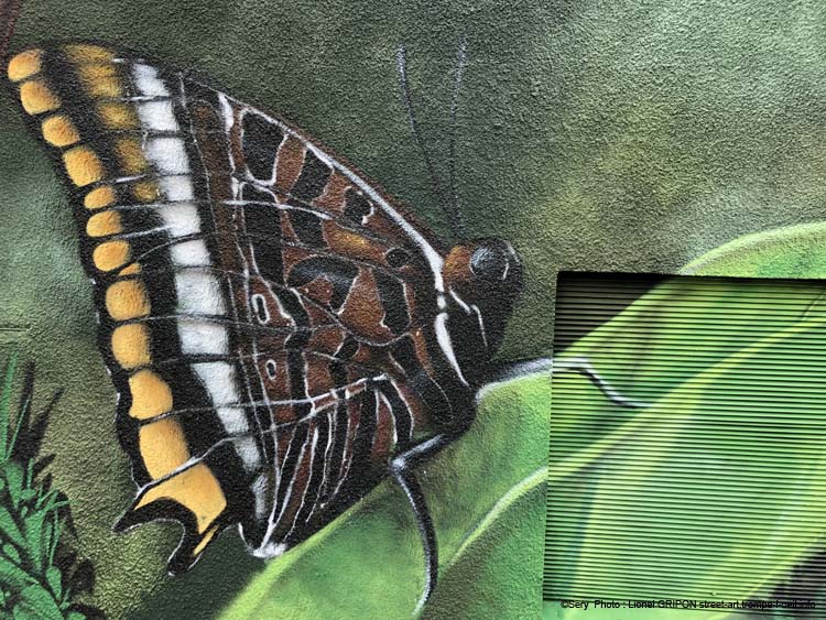 Grenouille et papillon