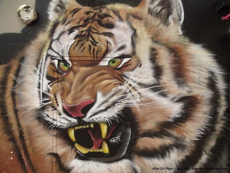 Tigre rugissant
