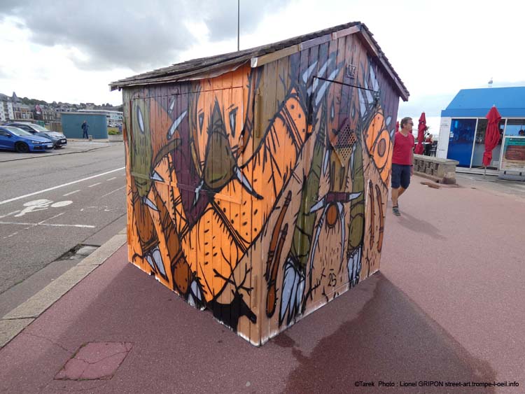 Cabane 2025 - Tarek