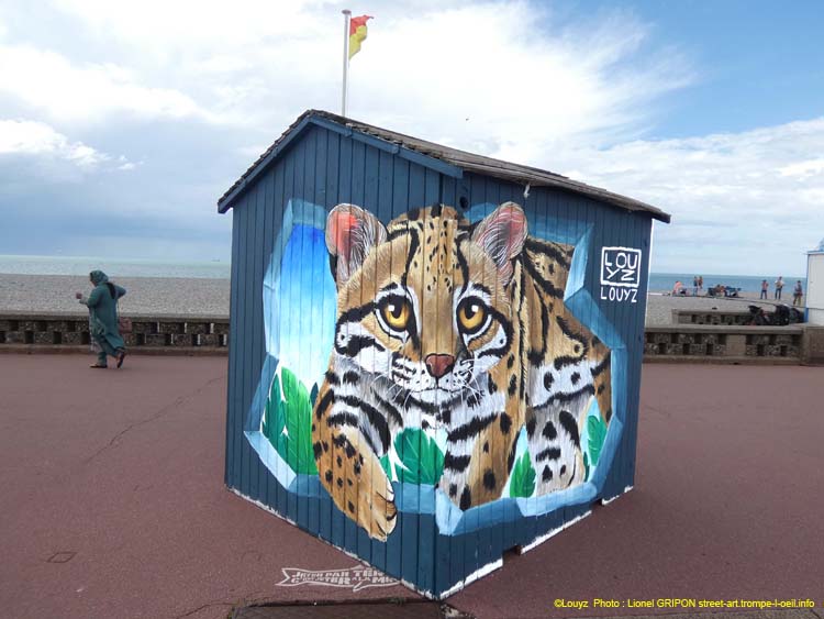 Cabane 2025 – Louyz