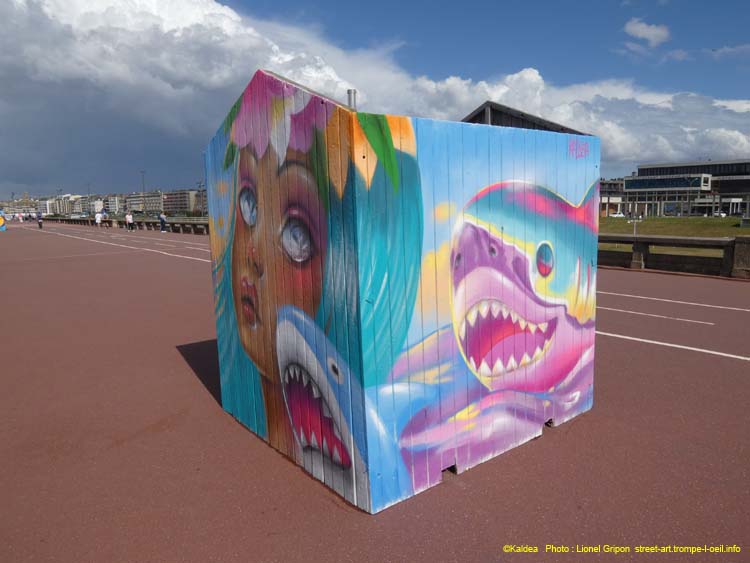 Cabane 2025 – Kaldea