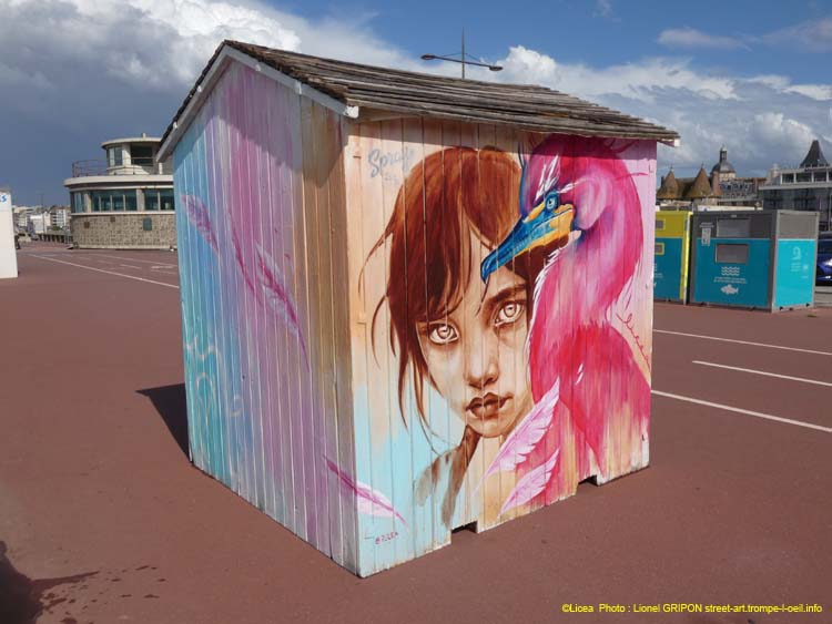 Cabane 2025 – Licea