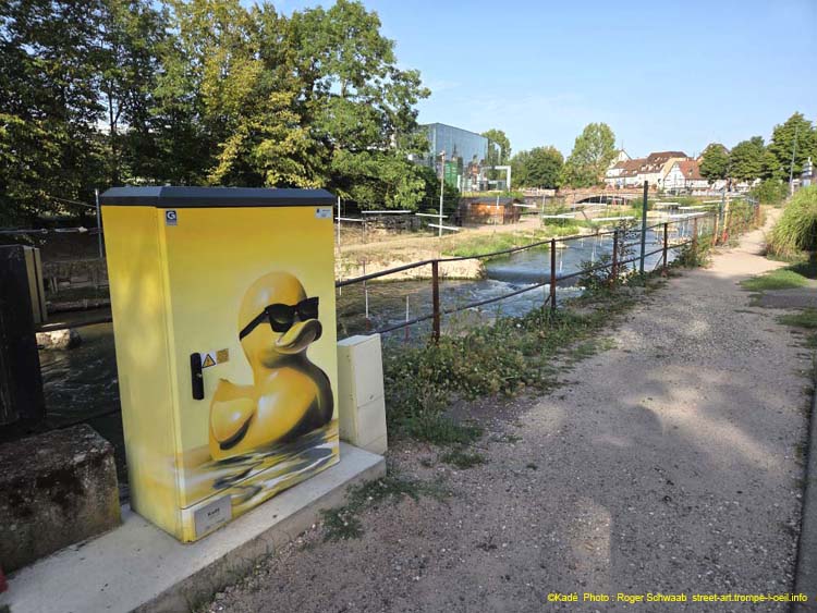 Poussin jaune