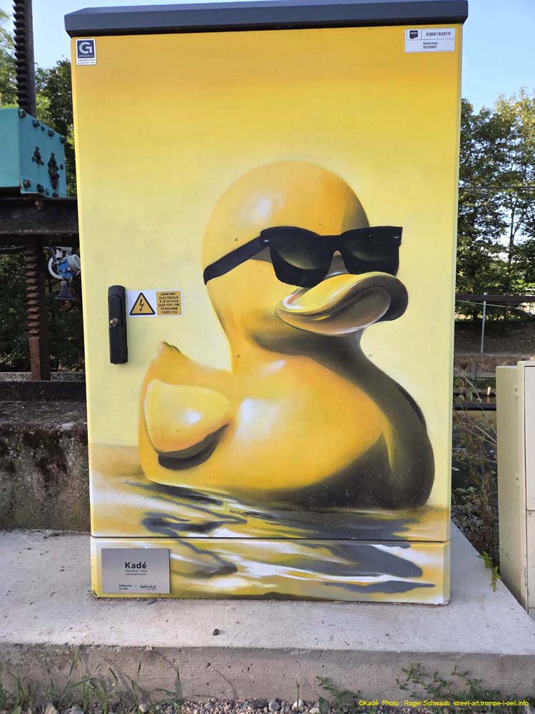 Poussin jaune