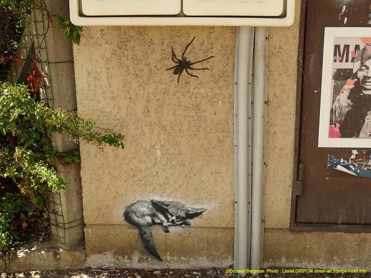 Renard et Raies