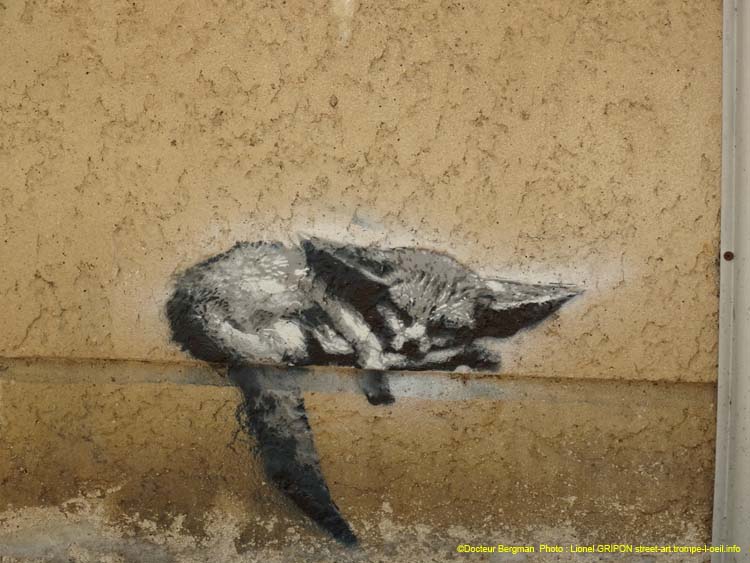 Renard et Raies