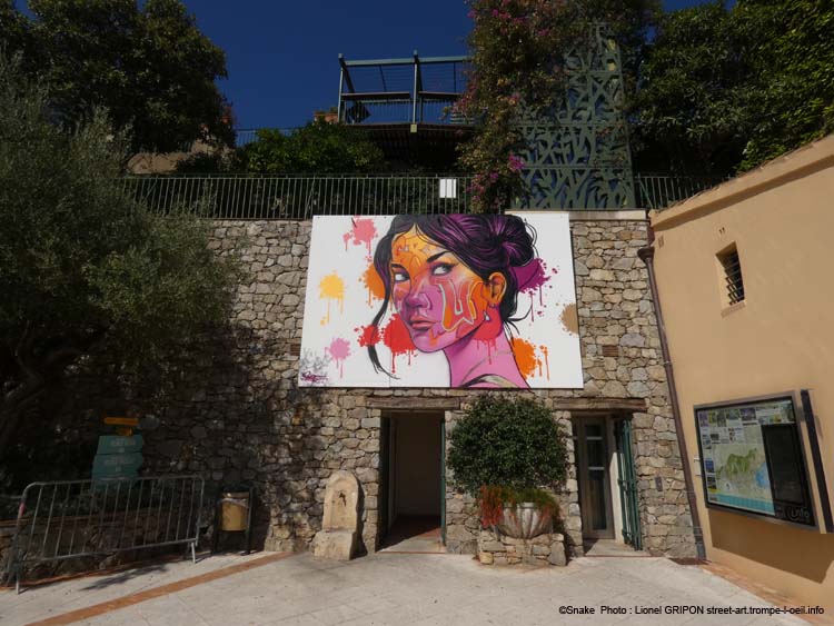 Belle de Grimaud