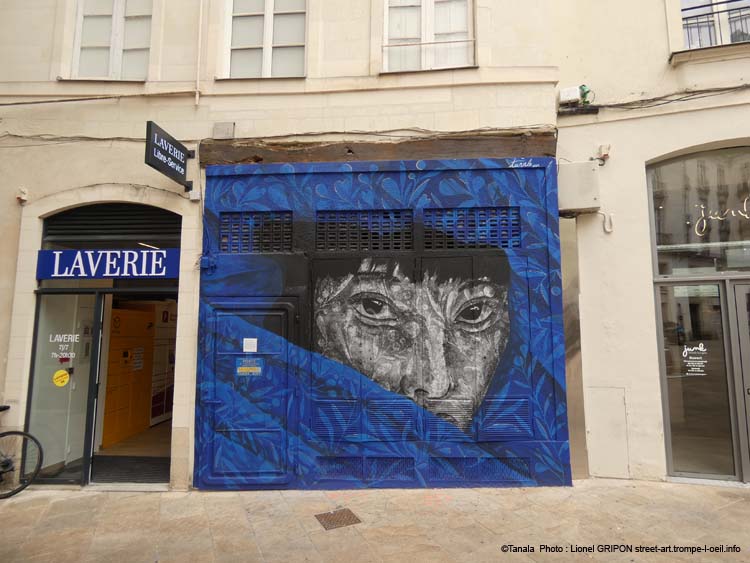 Veilleuse urbaine