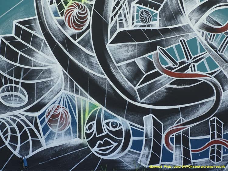 Le mur Seignosse-01
