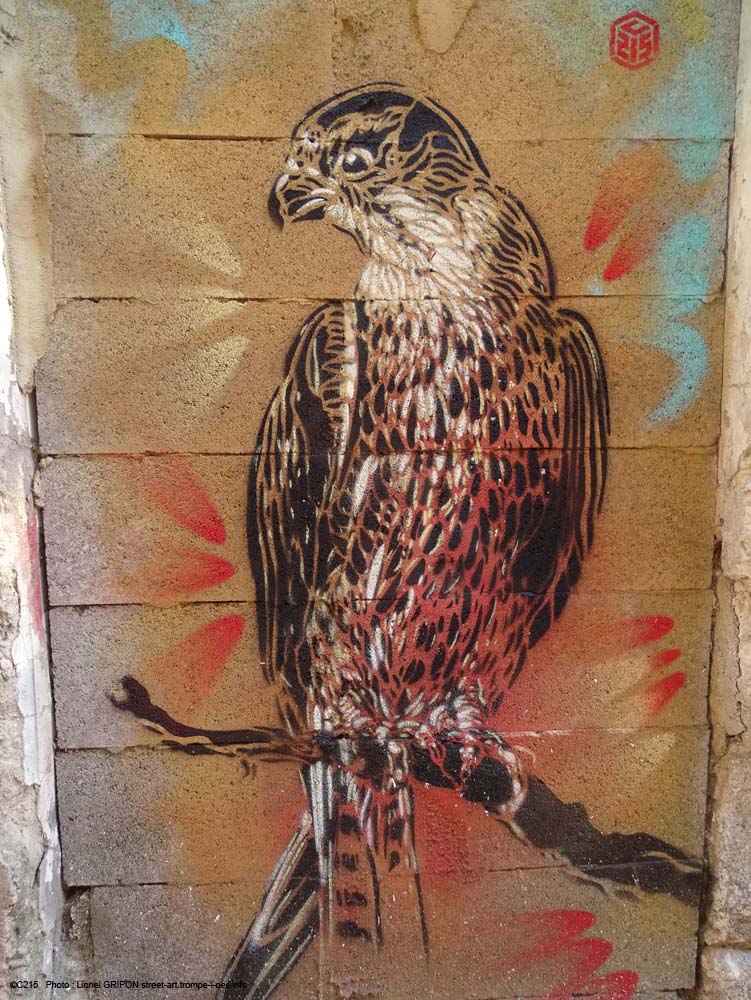 Le rapace-02