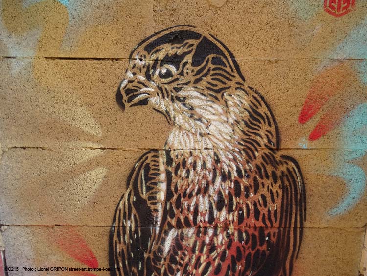 Le rapace-02