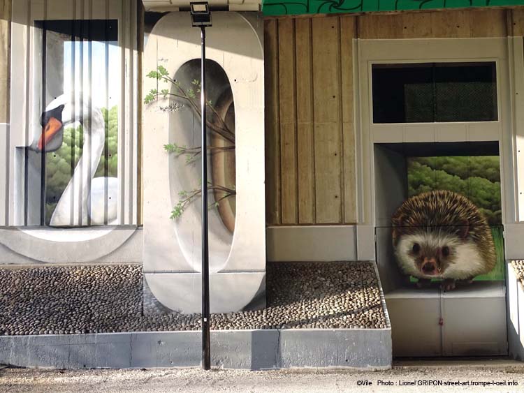 Spot Joinville-17