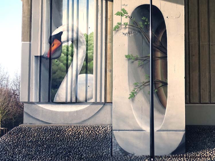 Spot Joinville-17