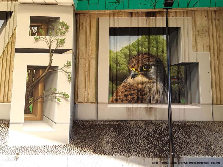 Spot Joinville-17