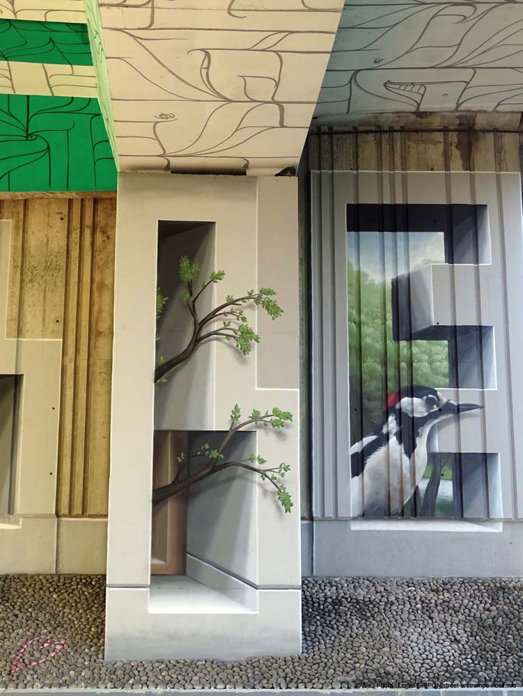 Spot Joinville-17
